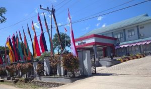 Screenshot_20250318_060557_Google~2