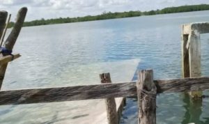 FD1CDAEC-5424-4C1C-BAC9-550A5EAFC75C